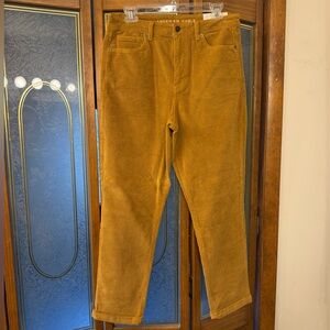 American Eagle Outfitters Ladies Corduroy Pants — Brown BRAND NEW